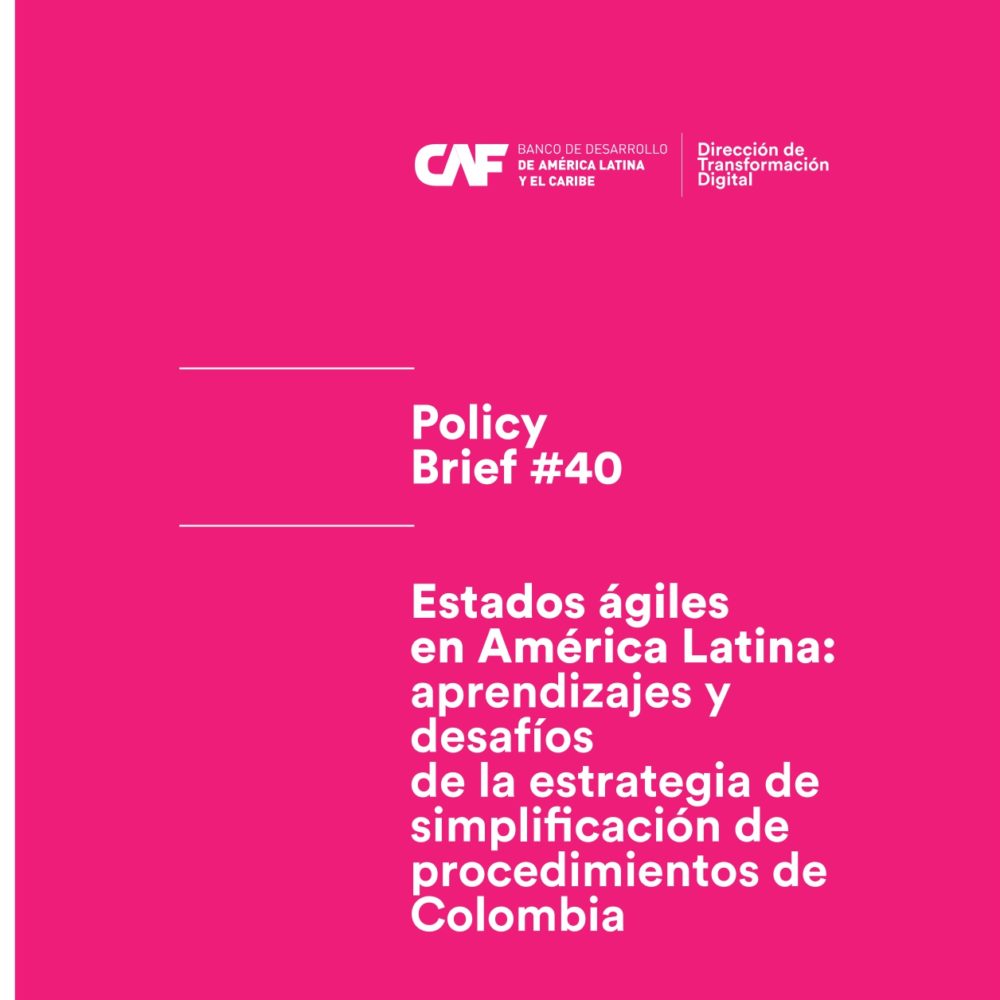 Policy Brief 40_ portada_page-0001